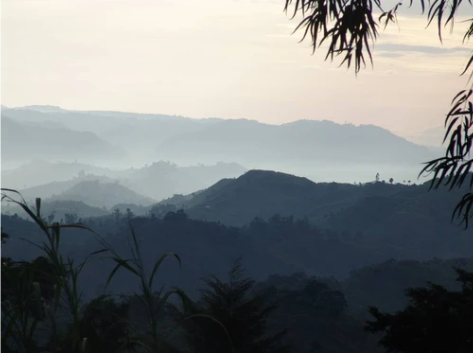 Virunga 70% - Original Beans