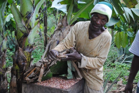 Virunga 70% - Original Beans