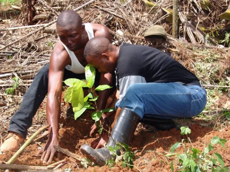 Virunga 70% - Original Beans