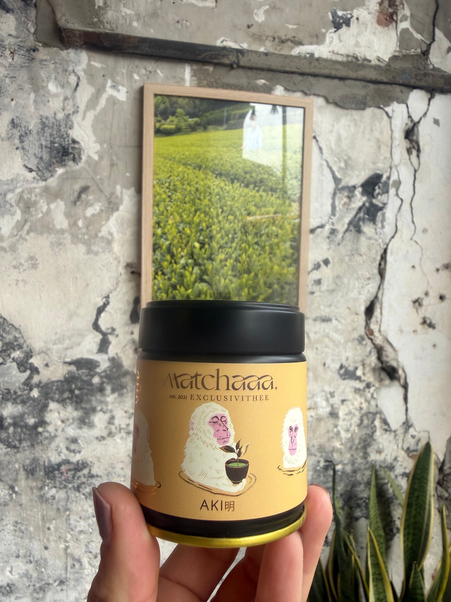 Aki ceremonial matcha, Fukuoka 40 gr
